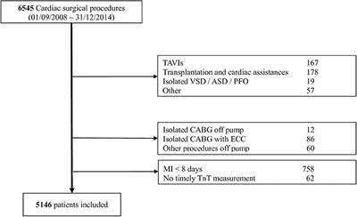 Clinical Relevance of Troponin T Profile Following Cardiac Surgery